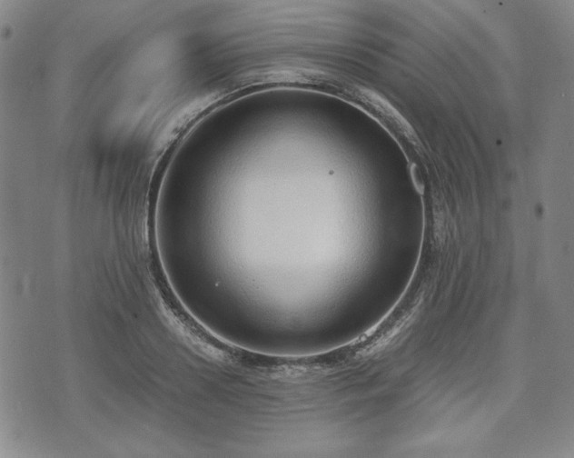 X0000073450938200608041024