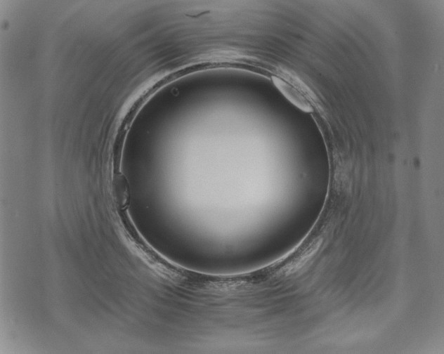 X0000073450939200608041024