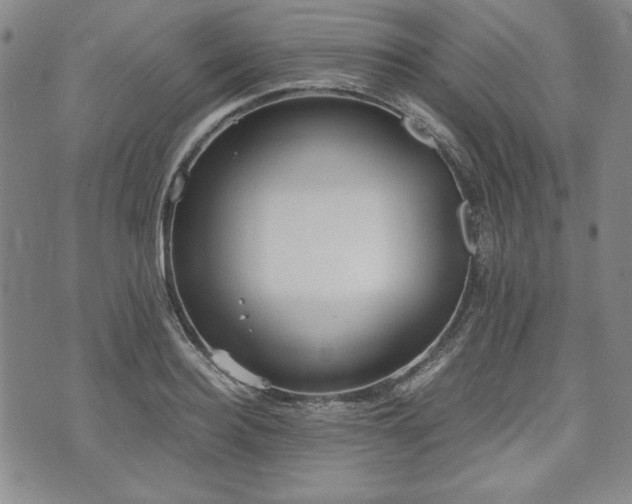 X0000073450940200608041024