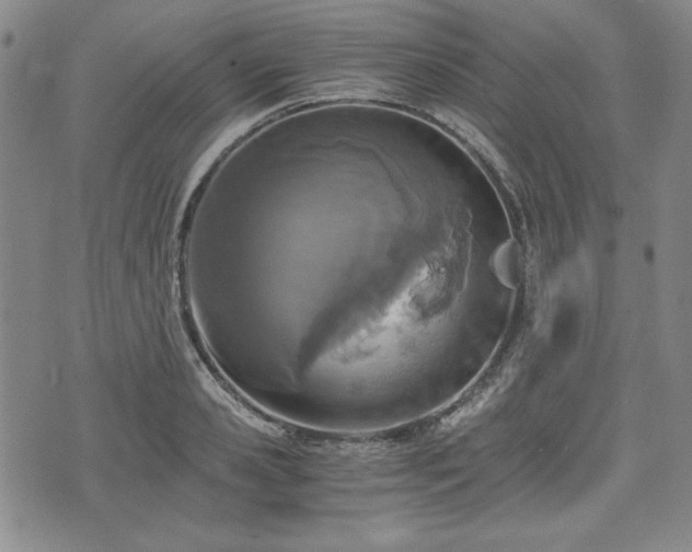 X0000073450941200608041024