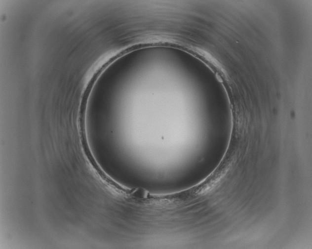 X0000073450943200608041024