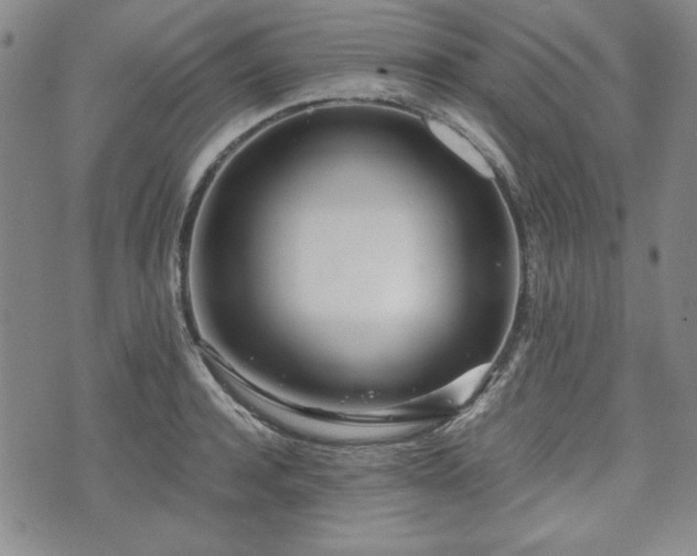 X0000073450944200608041024