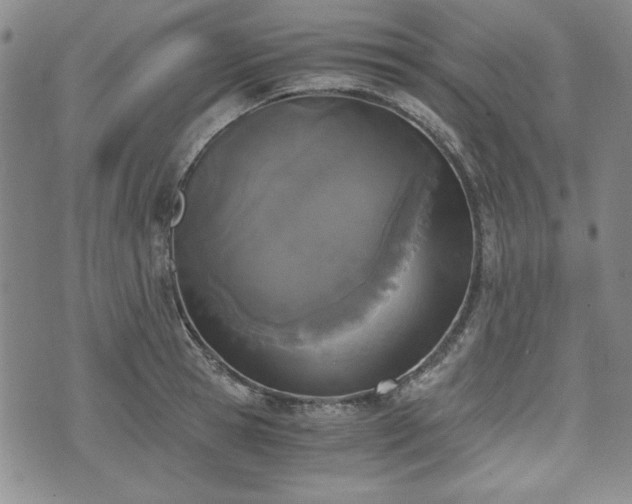 X0000073450945200608041024