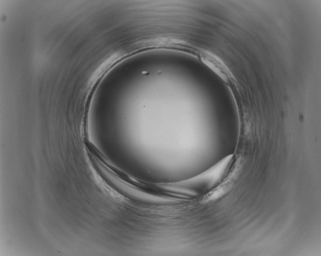 X0000073450946200608041024