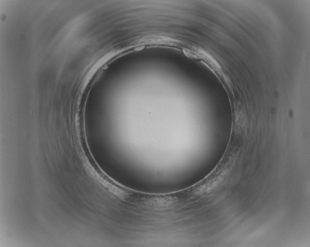 X0000073450947200608041024