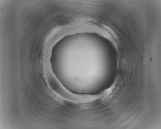 X0000073450948200608041024