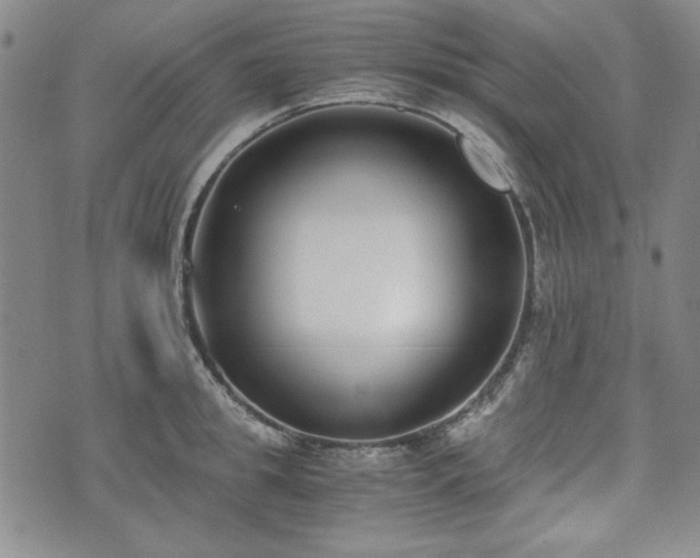 X0000073450949200608041024