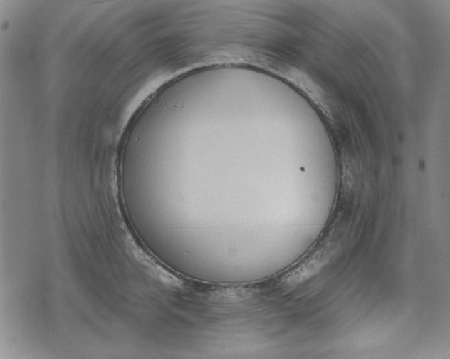 X0000073450950200608041024