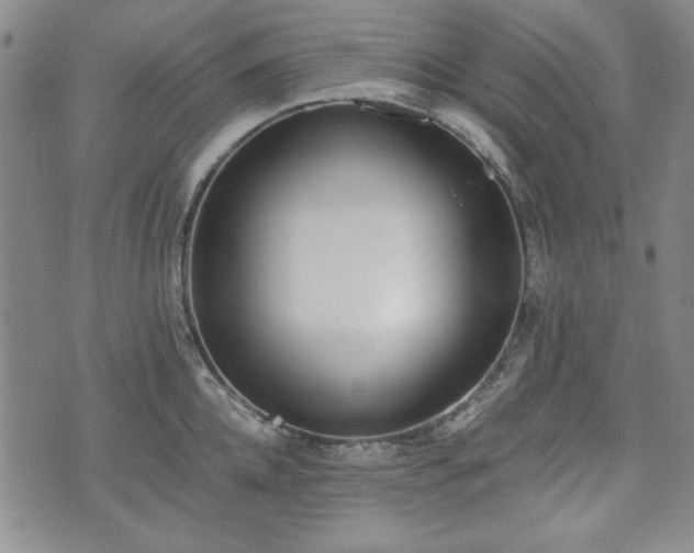 X0000073450952200608041024