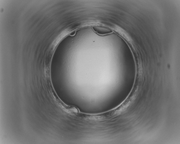 X0000073450953200608041024