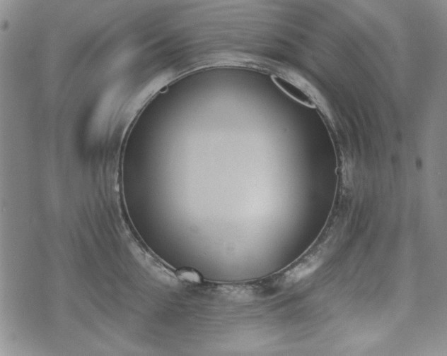 X0000073450954200608041024