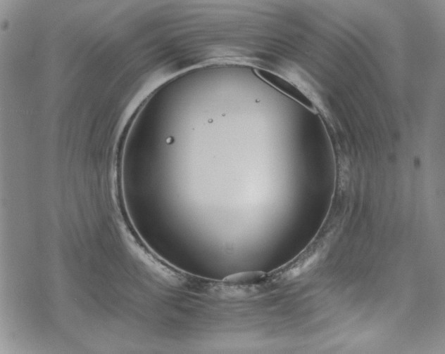 X0000073450955200608041024