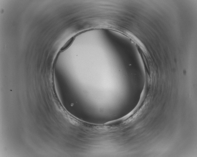 X0000073450956200608041024