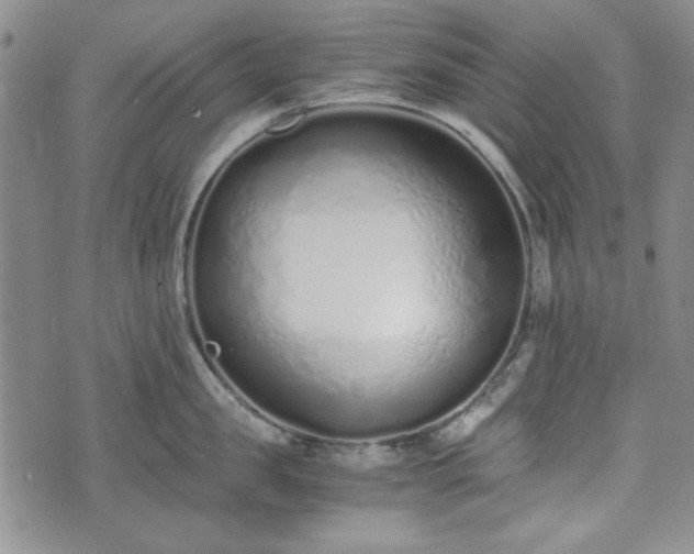 X0000073450957200608041024