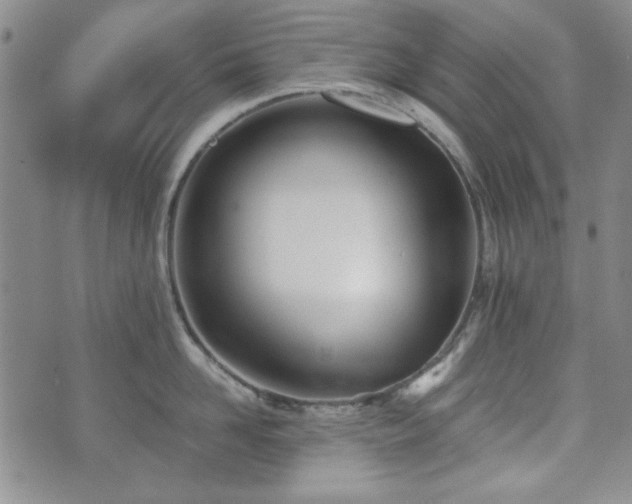 X0000073450958200608041024