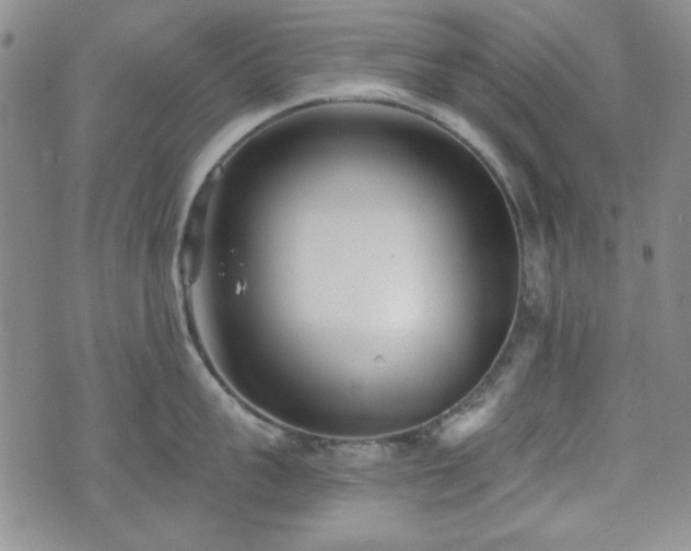 X0000073450959200608041024