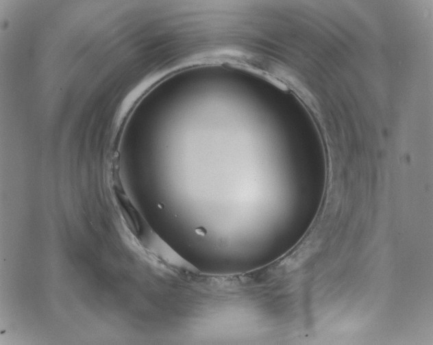 X0000073450960200608041024