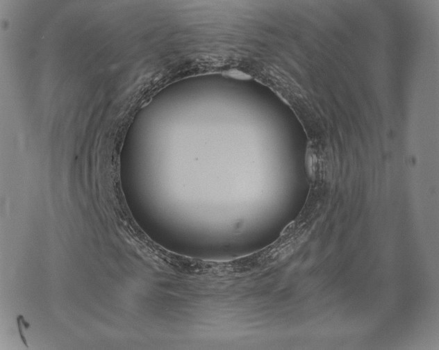 X0000073450961200608041024