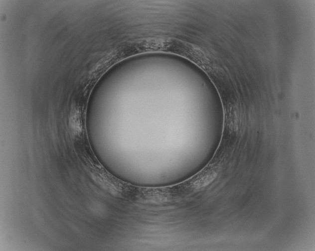 X0000073450962200608041024