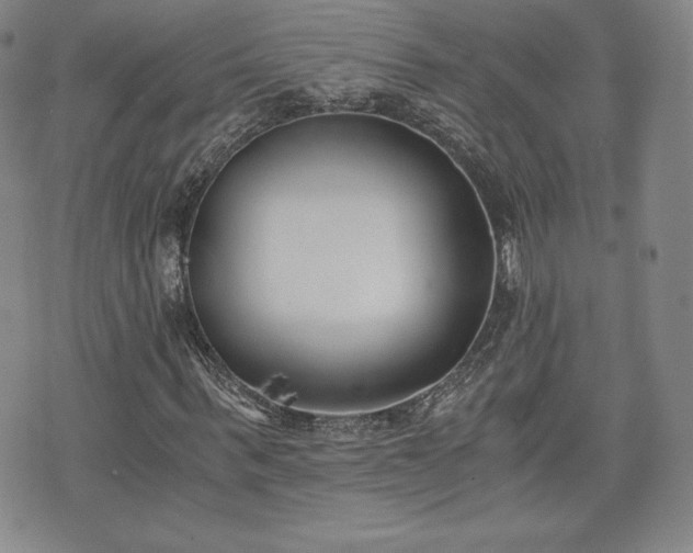 X0000073450963200608041023