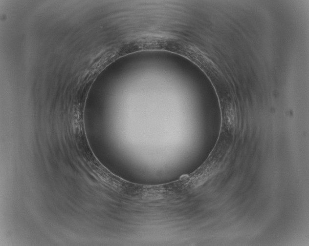 X0000073450964200608041023