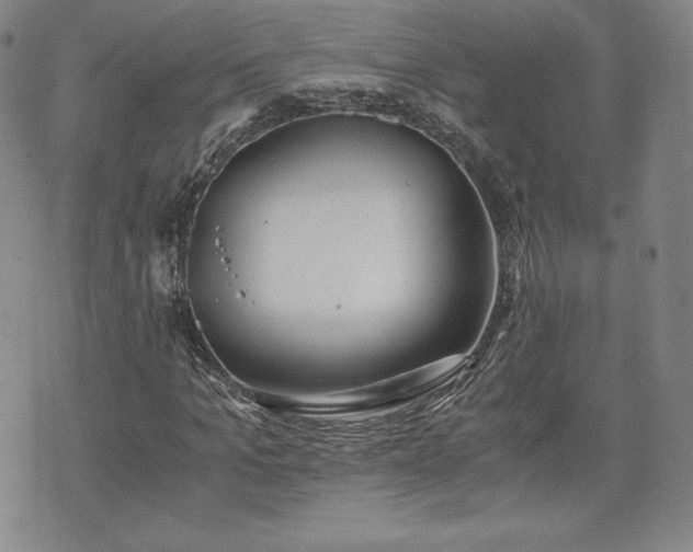 X0000073450965200608041023