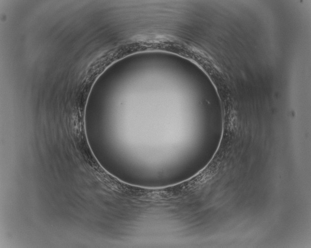 X0000073450966200608041023