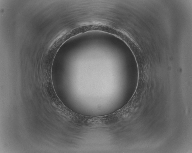 X0000073450967200608041023