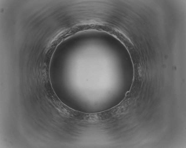 X0000073450968200608041023