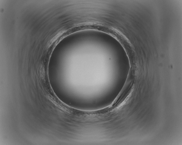 X0000073450969200608041023