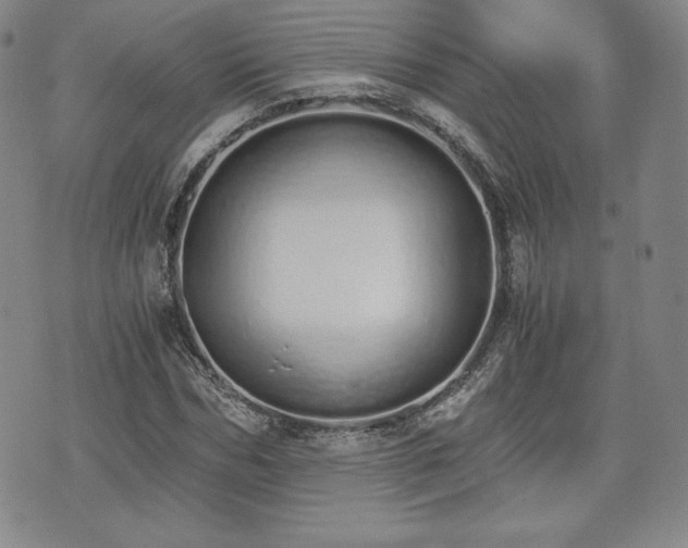 X0000073450970200608041023