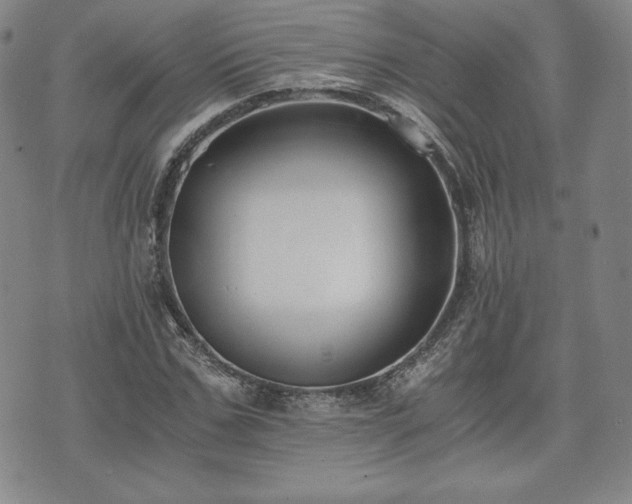 X0000073450971200608041023