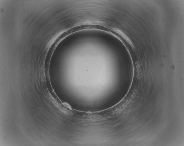 X0000073450972200608041023