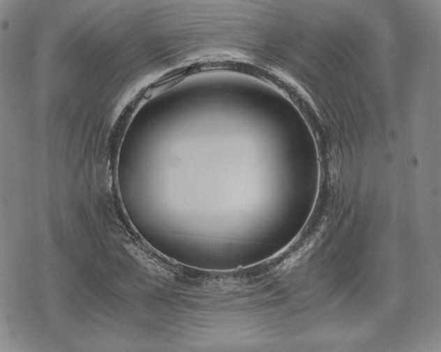 X0000073450973200608041023