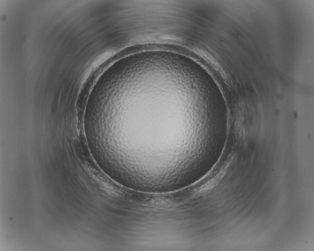 X0000073450974200608041023