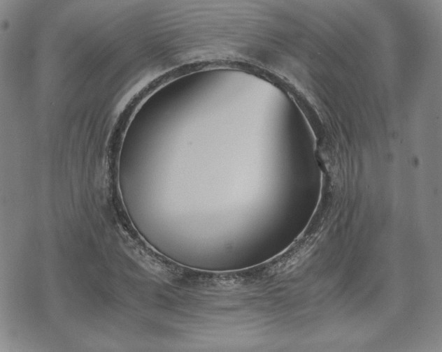 X0000073450975200608041023