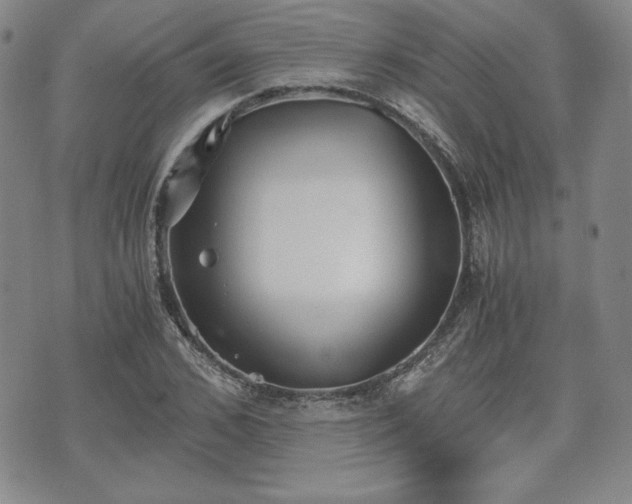 X0000073450976200608041023