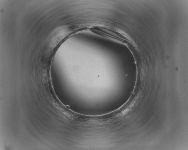 X0000073450977200608041023