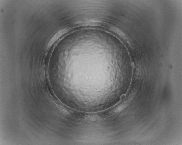 X0000073450978200608041023