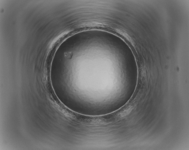 X0000073450979200608041023