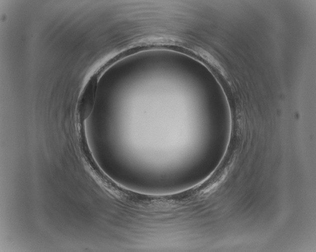 X0000073450981200608041023