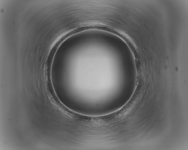 X0000073450983200608041023