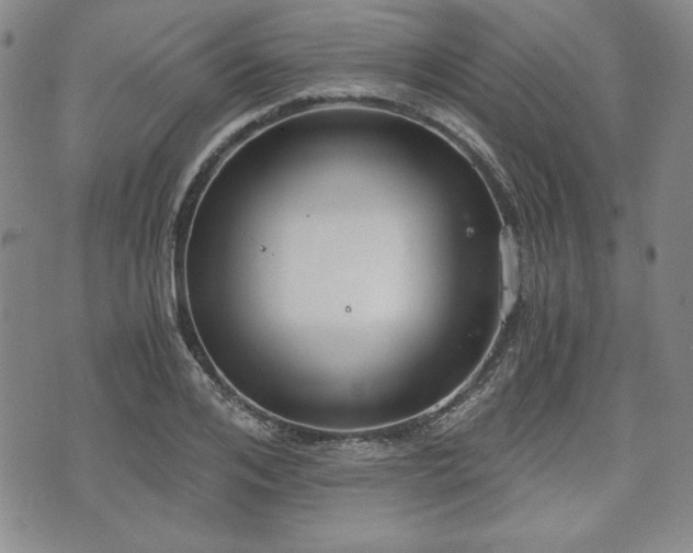 X0000073450984200608041023