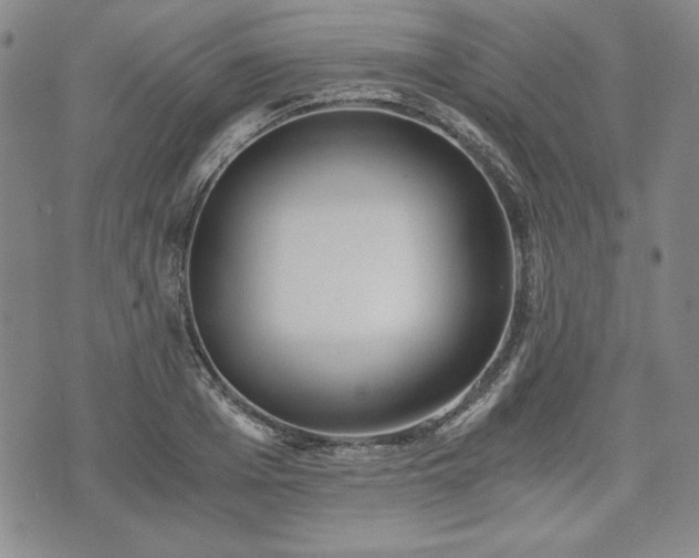 X0000073450985200608041023