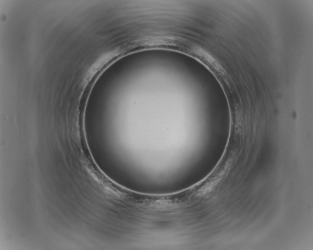 X0000073450986200608041023