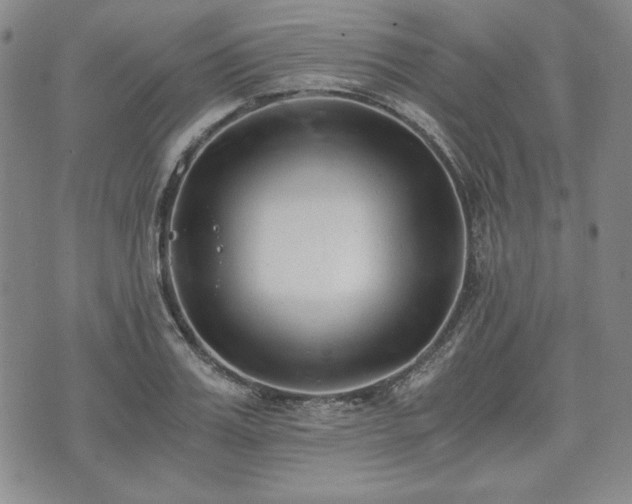 X0000073450987200608041023