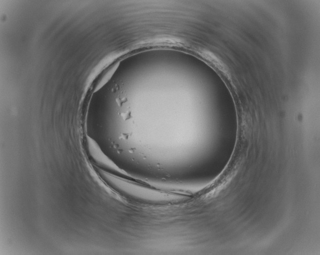 X0000073450989200608041023