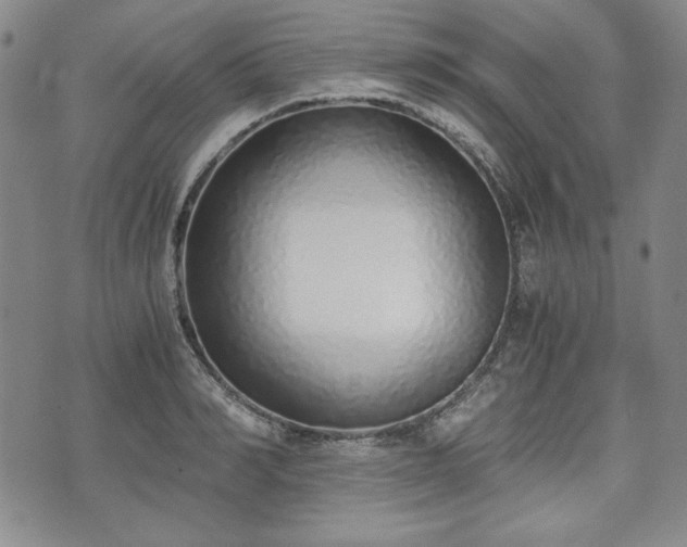 X0000073450990200608041023