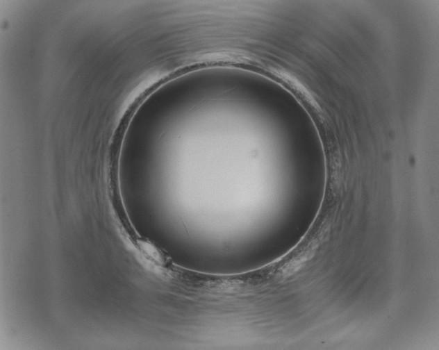 X0000073450991200608041023