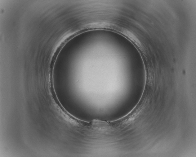 X0000073450992200608041023